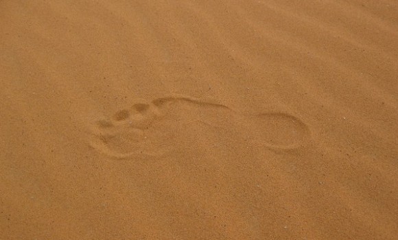 砂漠農業が可能の魔法の砂パナサンド